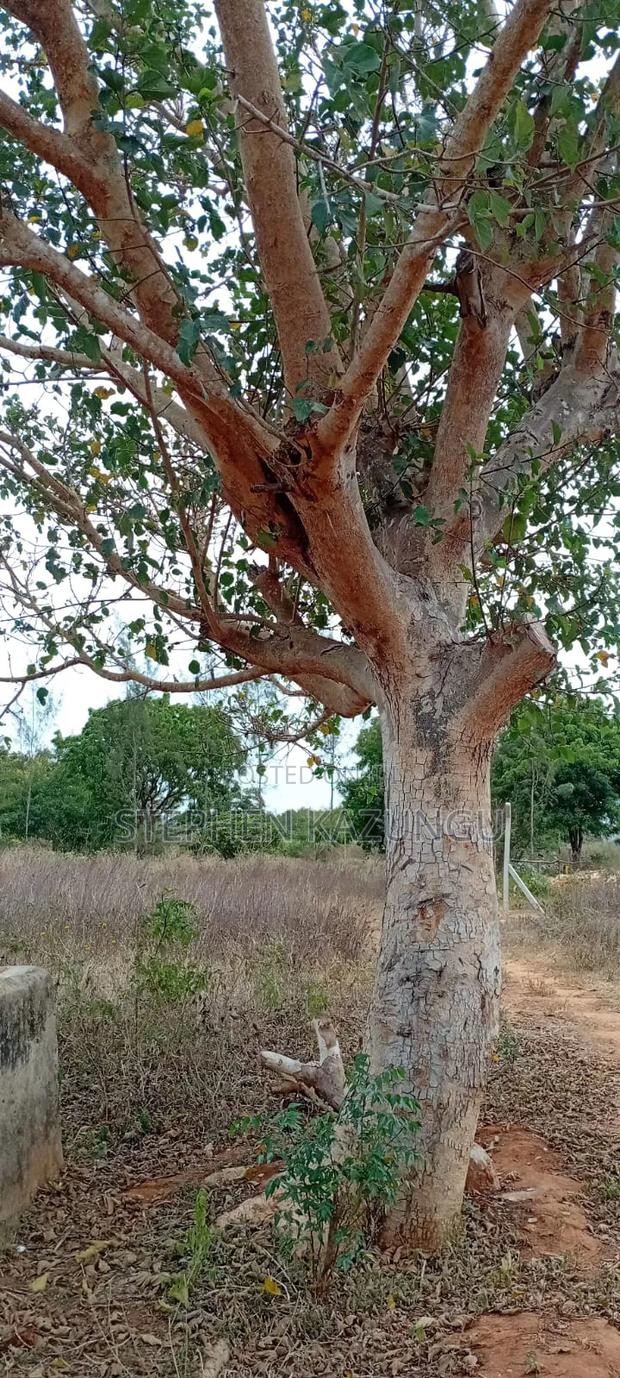 1/4 Acre Plot On Sale At Kinondo Town, Opposite Kinondo Hospital. - thumbnail 14