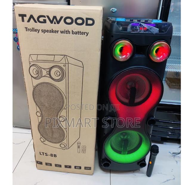 Tagwood Rechargeable Party Box LTS-8b – Remote + Microphone