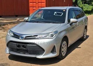 Toyota Corolla Fielder 2018 Silver