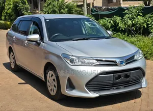 Toyota Corolla Fielder 2018 Silver