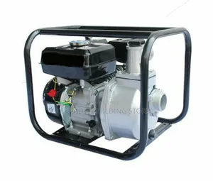 Thermally Stable Farasi 7.5 Hp Water Pump