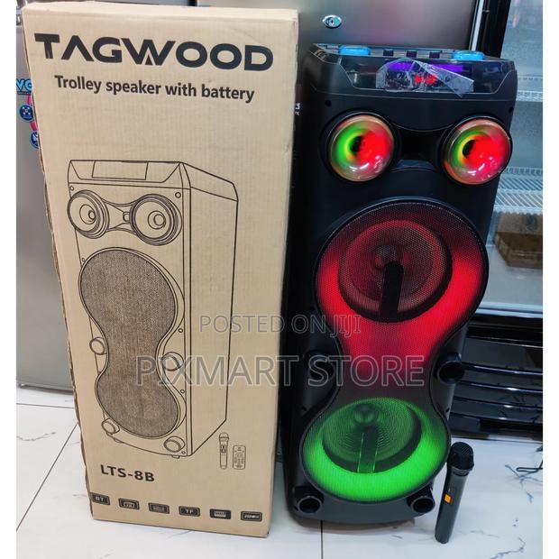 Tagwood LTS-8b Rechargeable Party Speaker With Mic