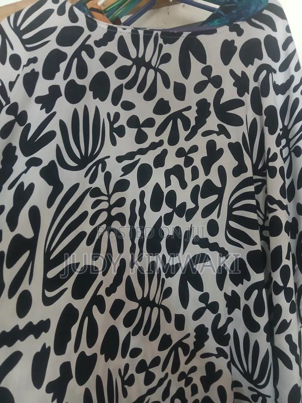 Coastal Deras Available - thumbnail 2