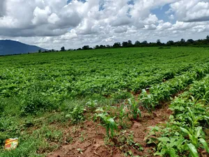 6acres at Matingi