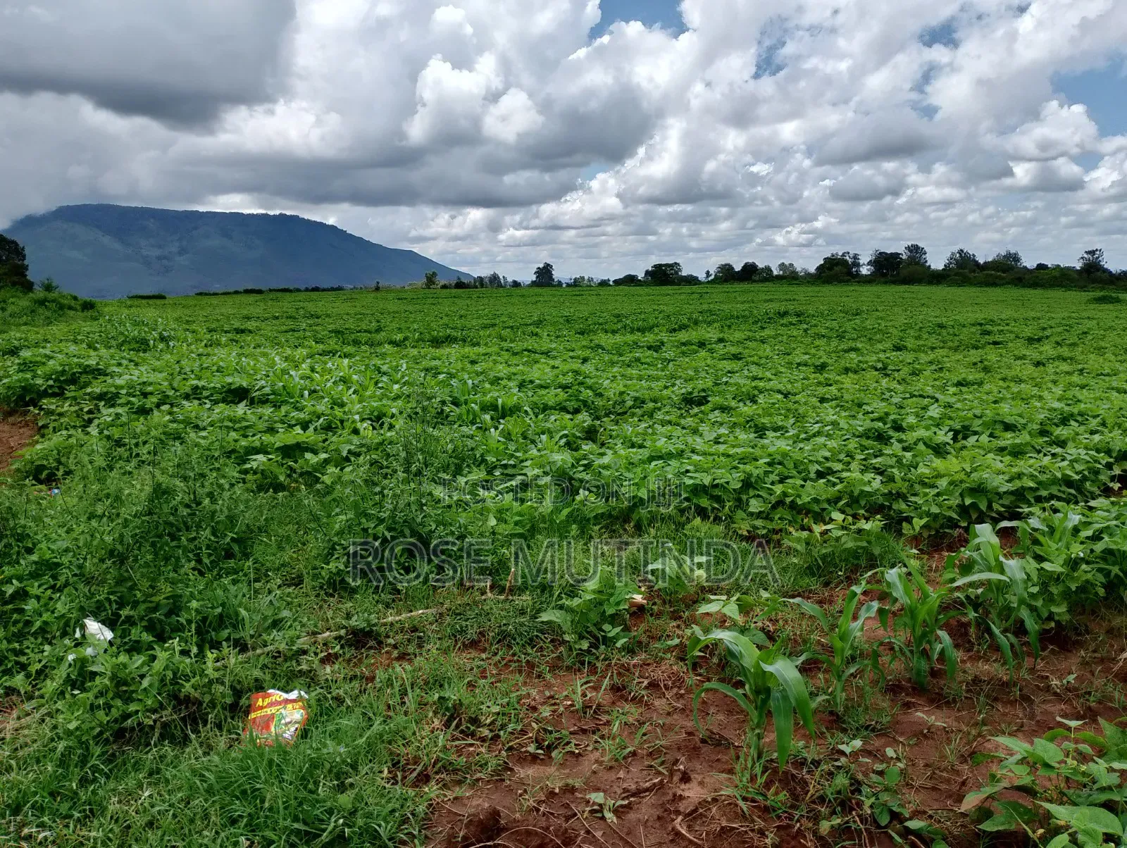 6acres at Matingi