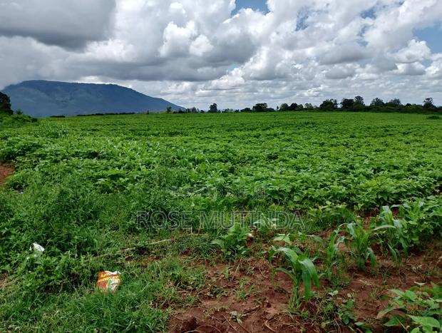 6acres at Matingi - thumbnail 6