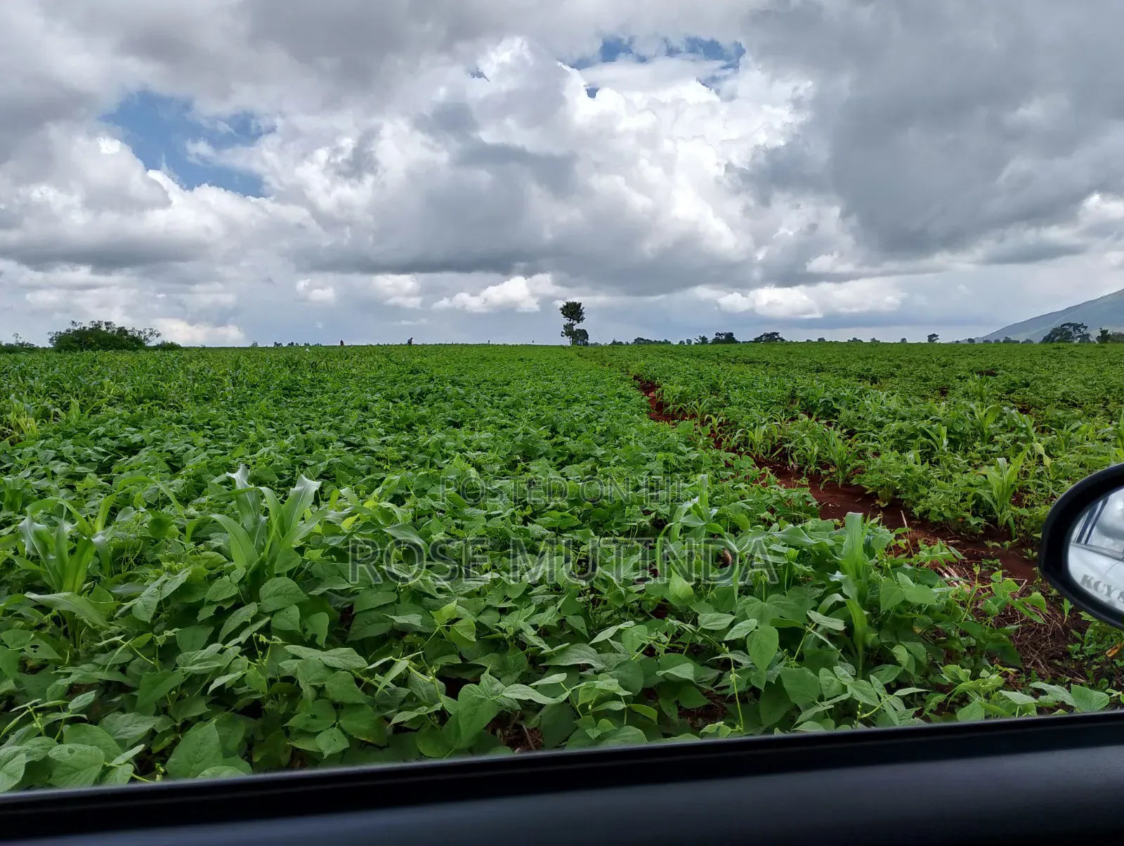 6acres at Matingi