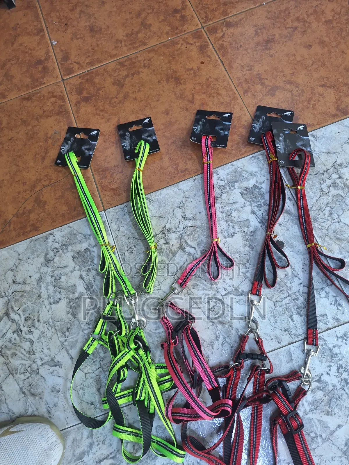 Dog Leash -