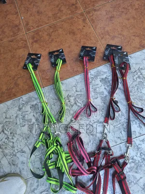 Dog Leash -