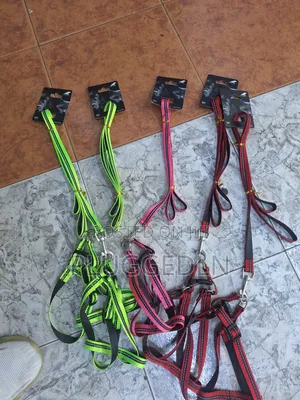 Dog Leash -