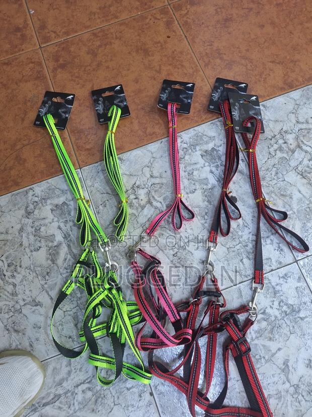 Dog Leash - - thumbnail 2