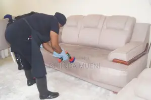 Cleaning Services and Fumigation