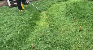 Lawn Mowing/Landscaping/Hedging/Tree Cutting/Edging