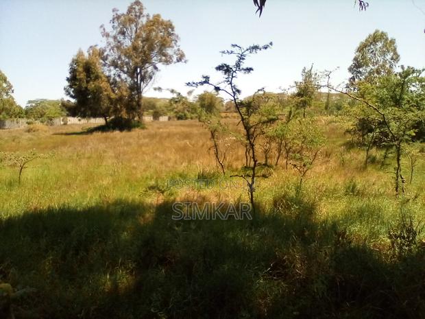 1-Acre Plots for Sale in a Gated Community in Karen - thumbnail 7
