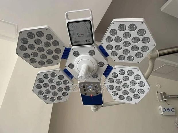 Single Arm Theatre Lights - Petal Shaped - main view