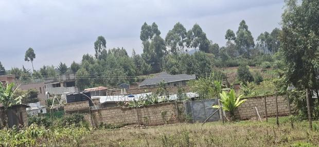 0.045 Ha in Kikuyu Rose Gate - thumbnail 2