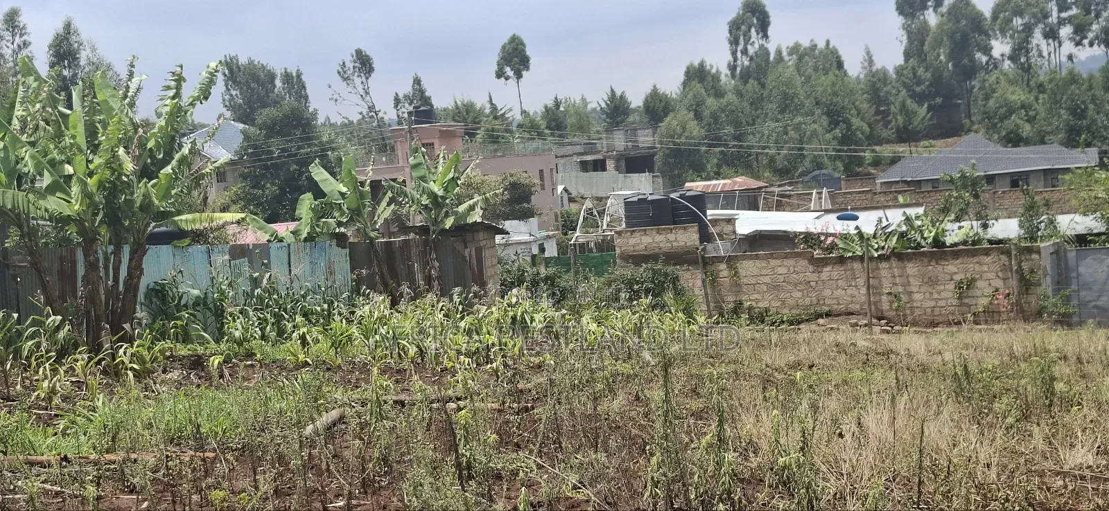 0.045 Ha in Kikuyu Rose Gate
