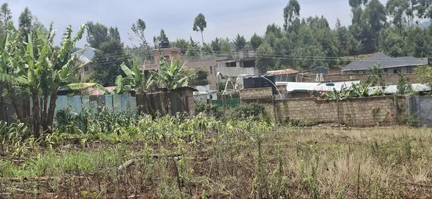 0.045 Ha in Kikuyu Rose Gate - thumbnail 3