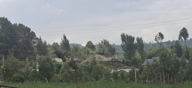 0.045 Ha in Kikuyu Rose Gate - thumbnail 5