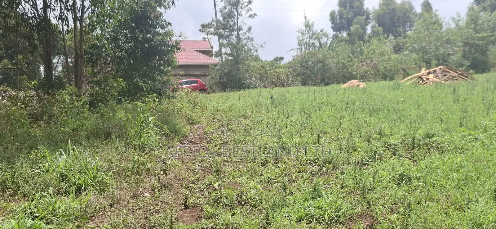 0.045 Ha in Kikuyu Rose Gate