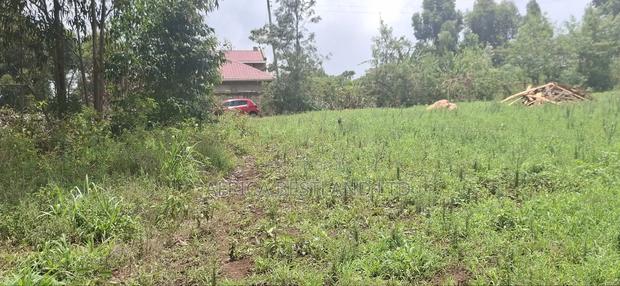 0.045 Ha in Kikuyu Rose Gate - thumbnail 7