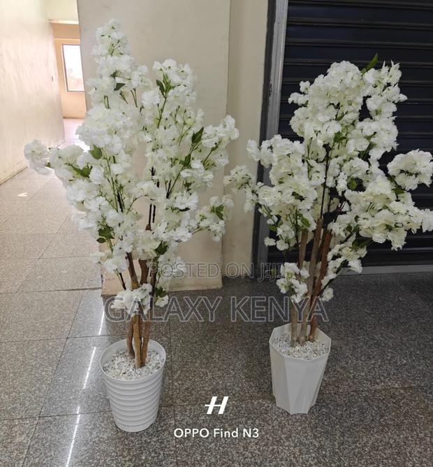 1.6m Complete With Vase and Pebbles - main view