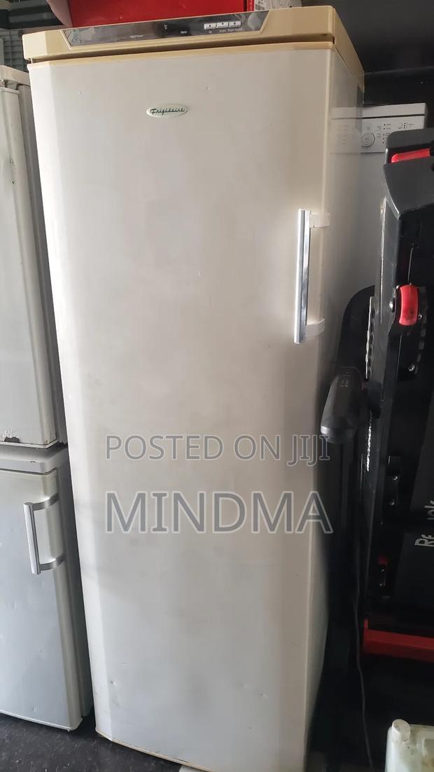 Frigidaire Standing Freezer - main view