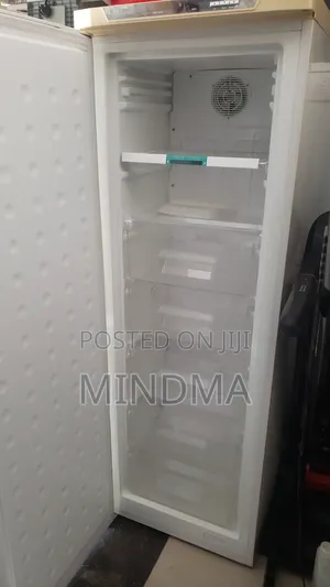 Frigidaire Standing Freezer