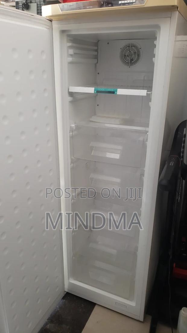 Frigidaire Standing Freezer - thumbnail 2