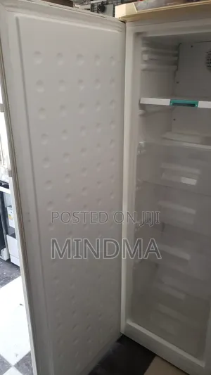 Frigidaire Standing Freezer