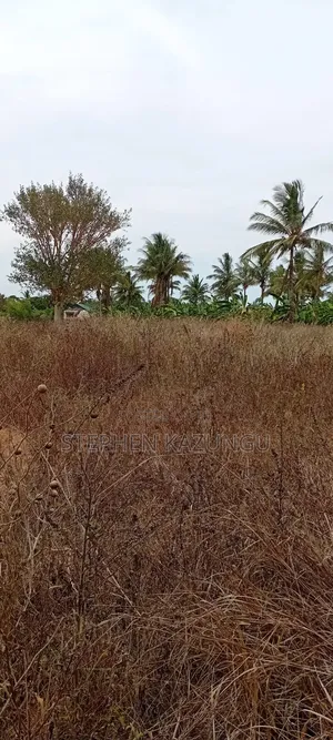 1/2 Acre Plot on Sale at Kinondo Not Far From Kinondo Hospital .