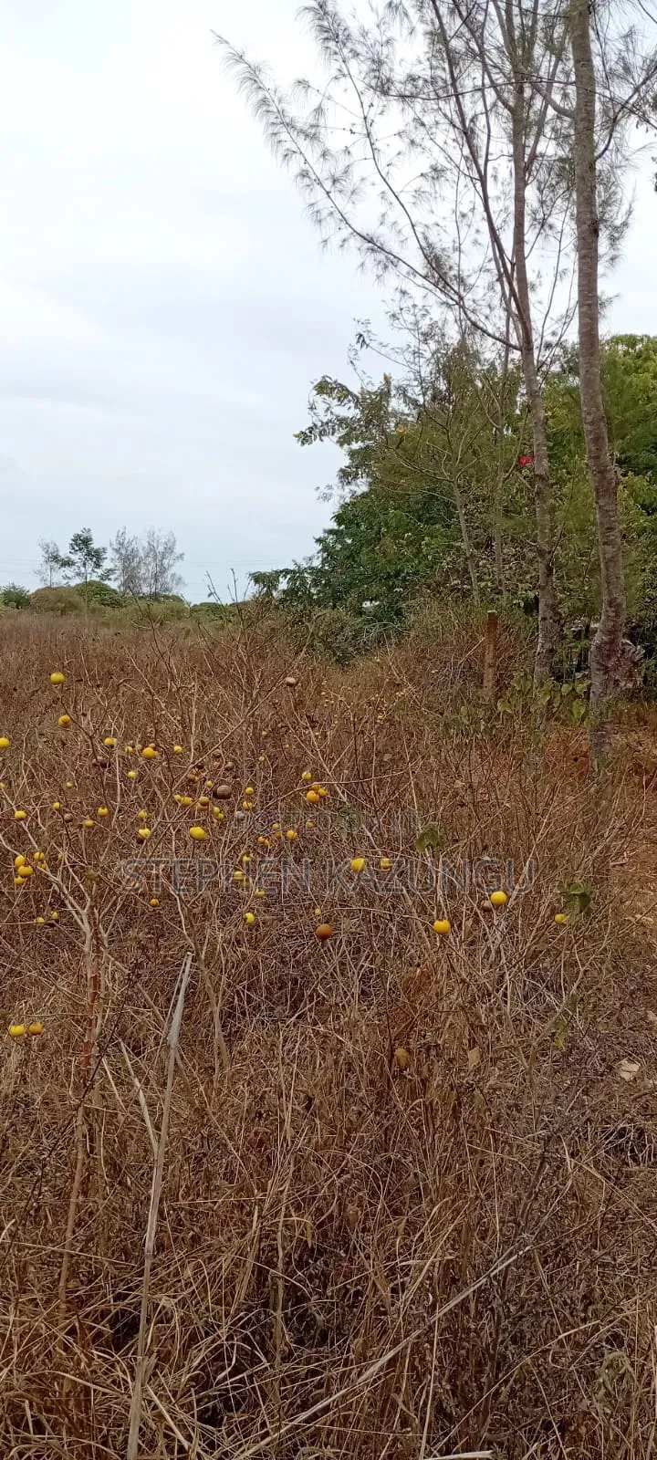 1/2 Acre Plot on Sale at Kinondo Not Far From Kinondo Hospital .