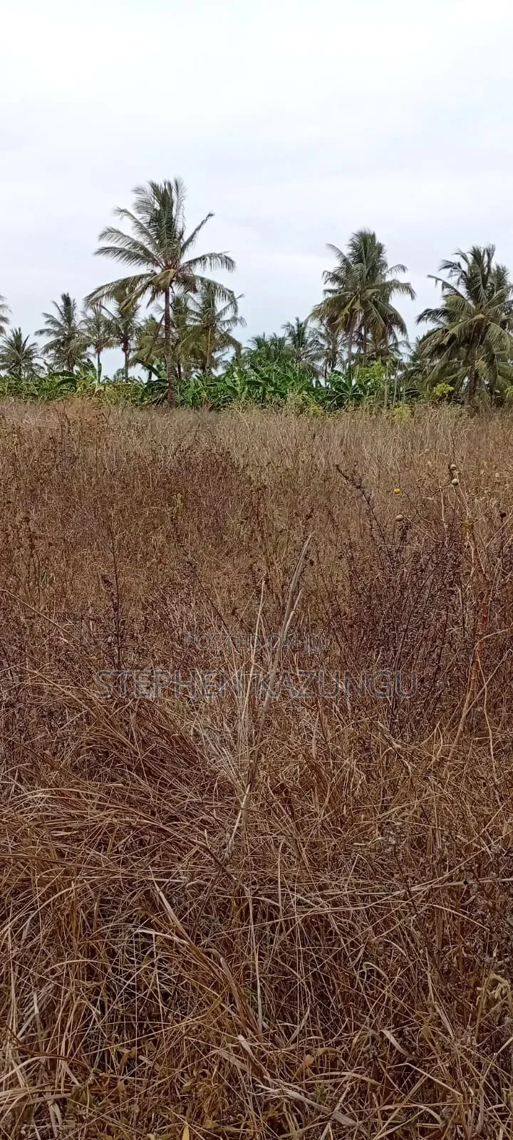 1/2 Acre Plot on Sale at Kinondo Not Far From Kinondo Hospital .