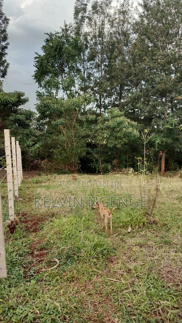 50 by 100 Plot in Kimunyu Gatundu South - thumbnail 3
