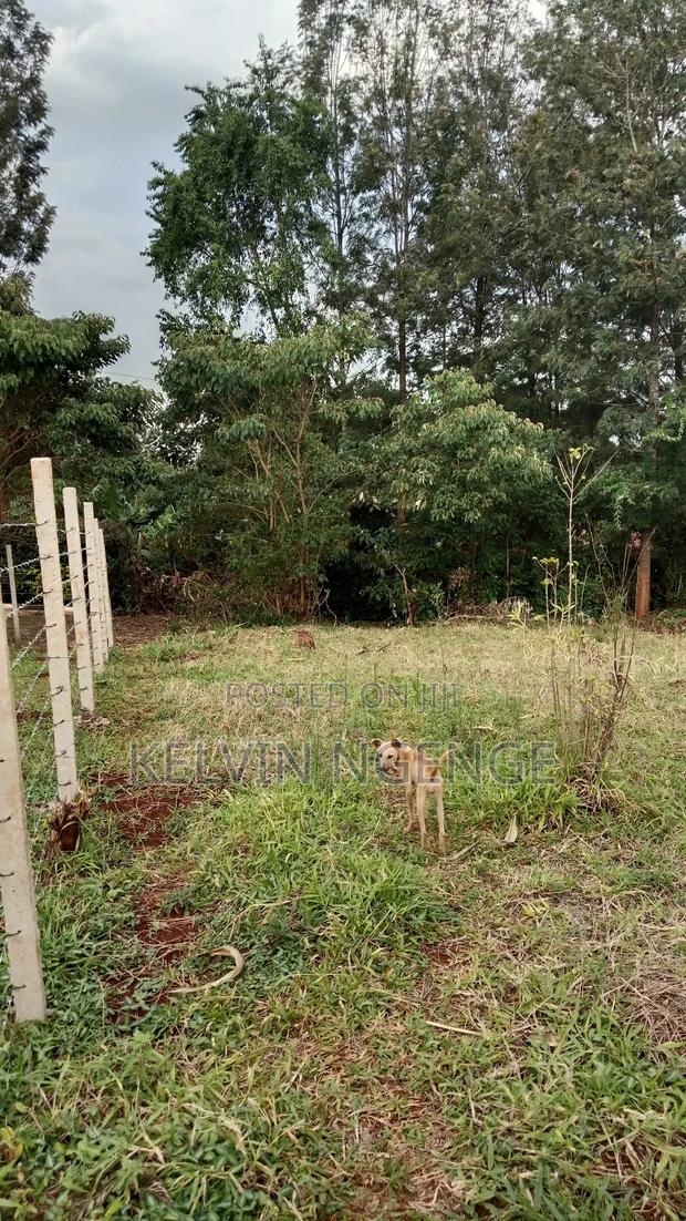 50 by 100 Plot in Kimunyu Gatundu South - thumbnail 4