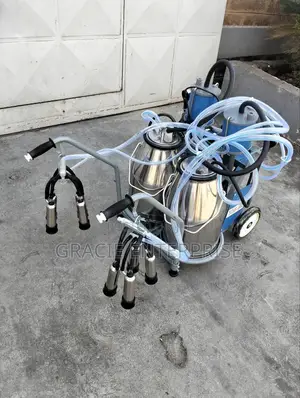 Double Milking Machine
