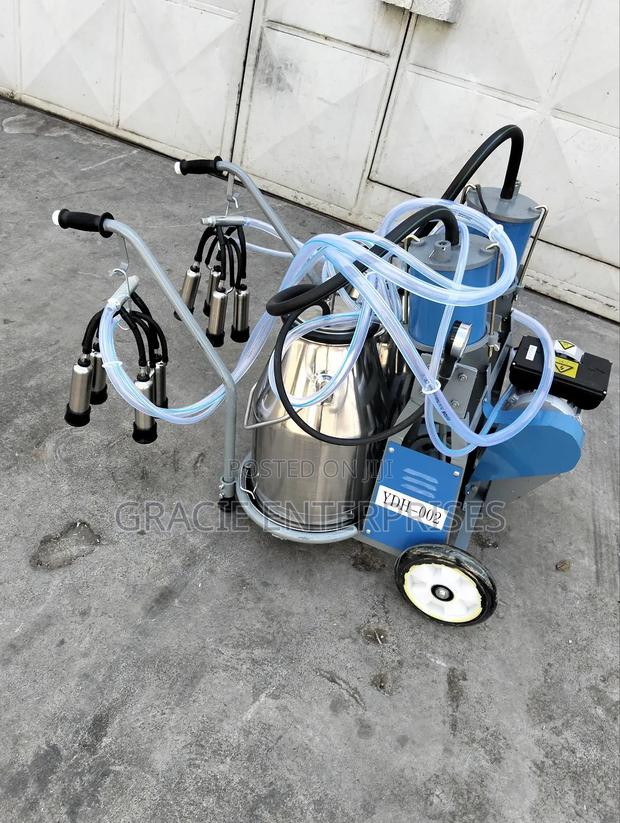 Stainless Steel Double Bucket Milking Machine - main view