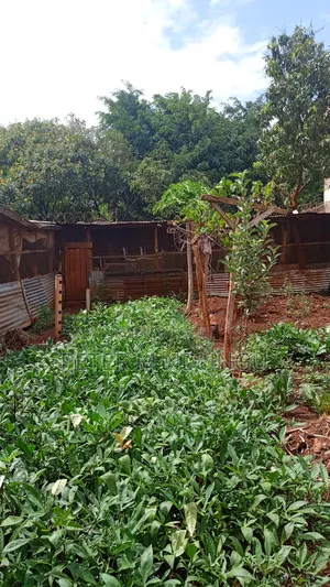 Kenyatta Road-Prime Residential Plot 40*80, Gated Community
