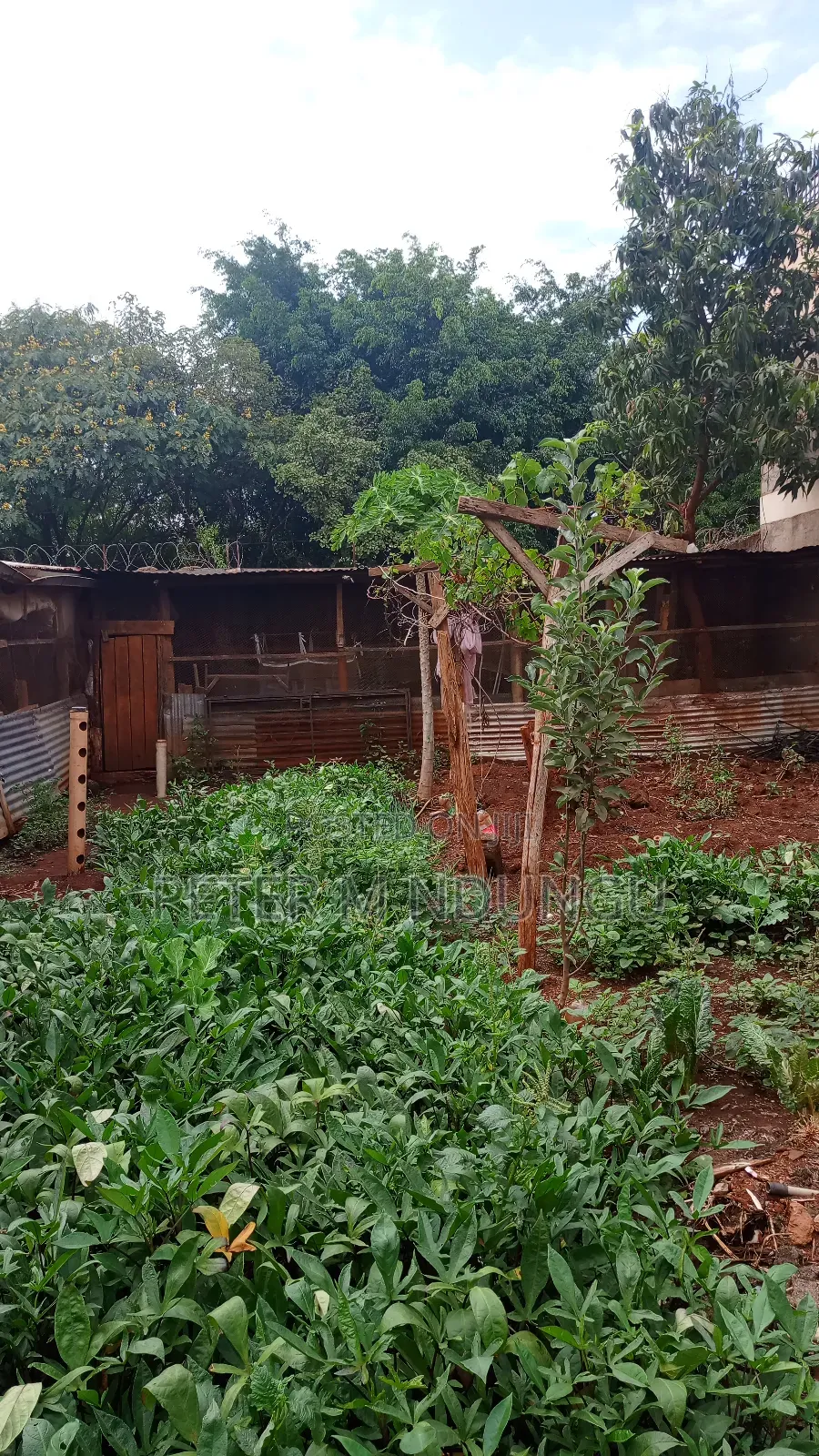 Kenyatta Road-Prime Residential Plot 40*80, Gated Community