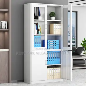 Office Cabinet; 2-door Metallic Office Cabinet