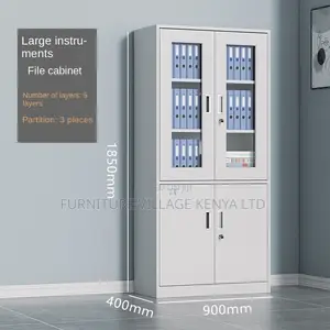 Office Cabinet; 2-door Metallic Office Cabinet