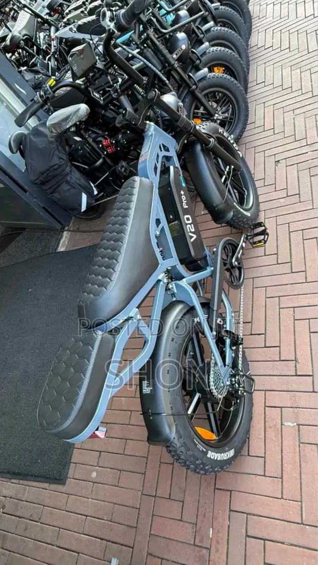 Electric Bike