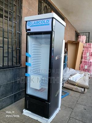 Lab Fridge 250 Litres - thumbnail 2
