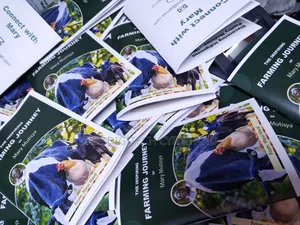 A4 Booklet Printing in Bulk