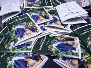 A4 Booklet Printing in Bulk