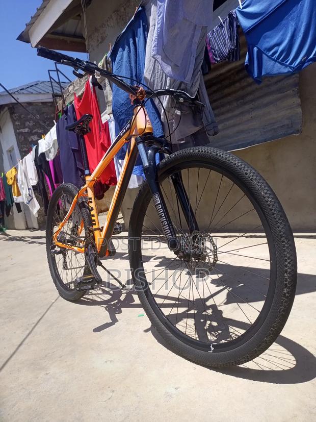 29er Mountain Bike - thumbnail 2