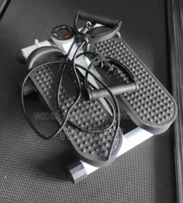 Gym Exercise Mini Stepper Machine