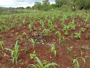 Plots for Sale