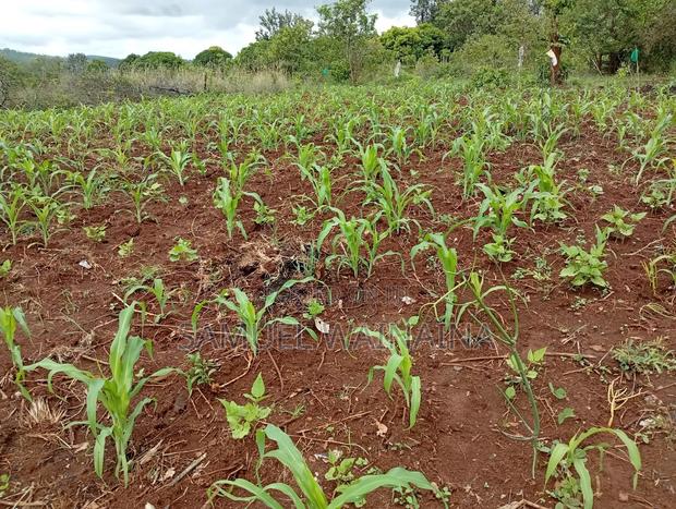 Plots for Sale - main view