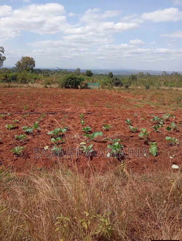 Plots for Sale - thumbnail 2